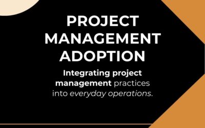 PROJECT MANAGEMENT ADOPTION
