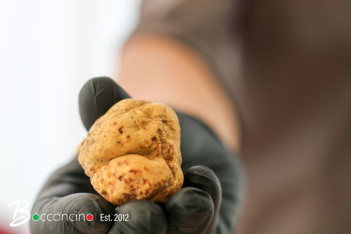 food-photography-thailand-phuket-6 Ph. Monica Costa, Food Photography, Restaurant Communication