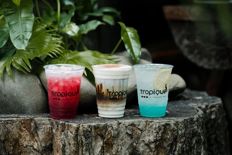 tropique-cafe-custom-cups